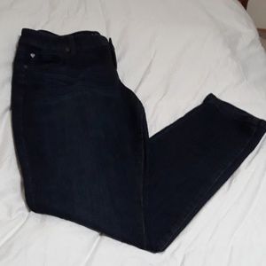 Torrid Boyfriend Jean's 12 T